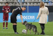 Photo of Социальные новости: акция защиты прав животных