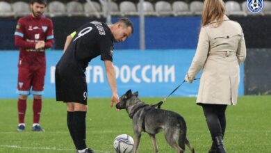 Photo of Социальные новости: акция защиты прав животных