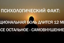 Photo of Интересные факты о психологии и личностном росте