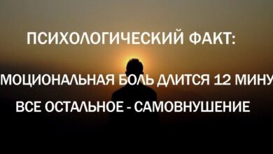 Photo of Интересные факты о психологии и личностном росте