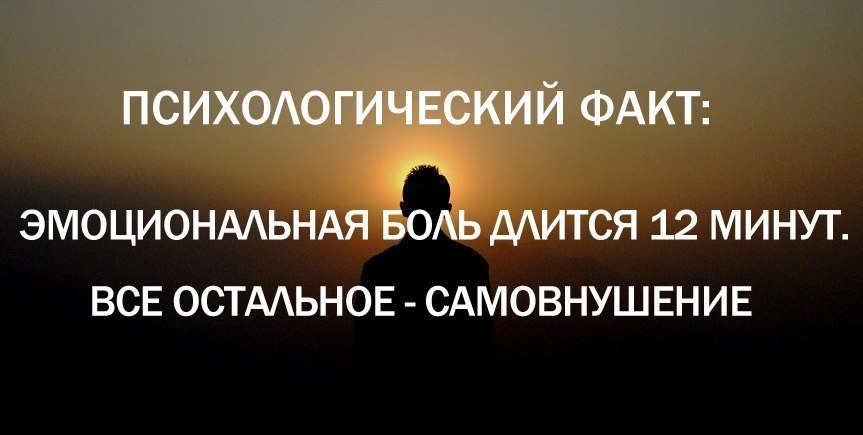 Фото 3 — Интересные факты о психологии и личностном росте