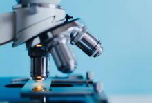 Photo of Удивительные открытия современной науки