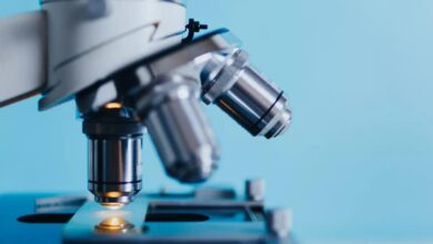 Photo of Удивительные открытия современной науки