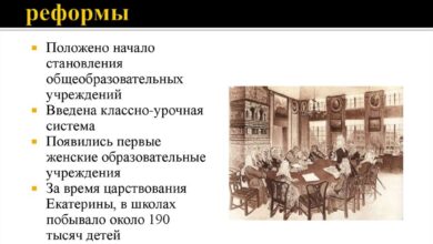Photo of Образовательные новости: реформа системы образования